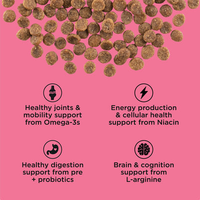 Go! Solutions Healthy Aging Grain-Free Salmon + Duck Recipe Dry Cat Food - Kibble with omega-3, niacin, probiotic and L-arginine benefits - PetMax Canada