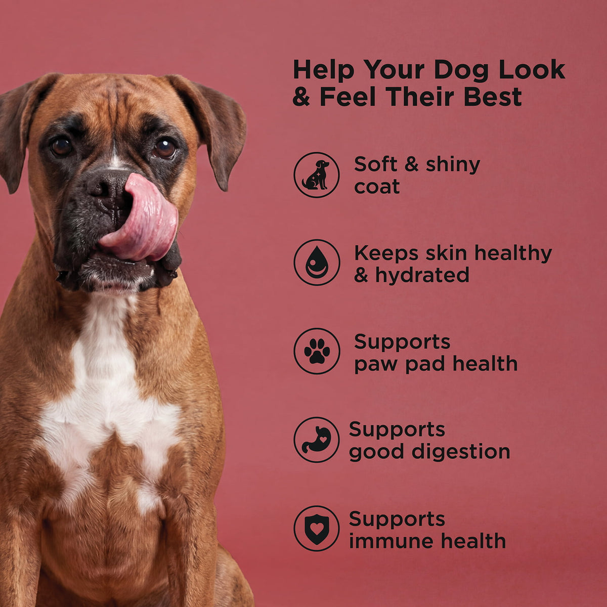 Go! Solutions Skin + Coat Care Beef Recipe With Grains Dry Dog Food - Skin, coat, paw pad, digestion and immune health benefits - PetMax Canada