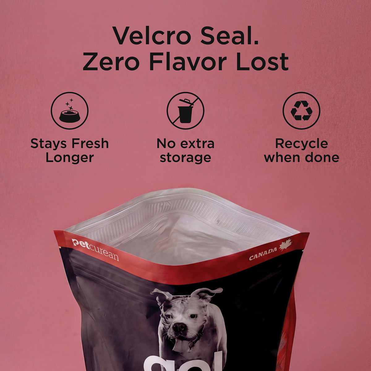 Go! Solutions Skin + Coat Care Beef Recipe With Grains Dry Dog Food - Resealable Velcro seal bag - PetMax Canada