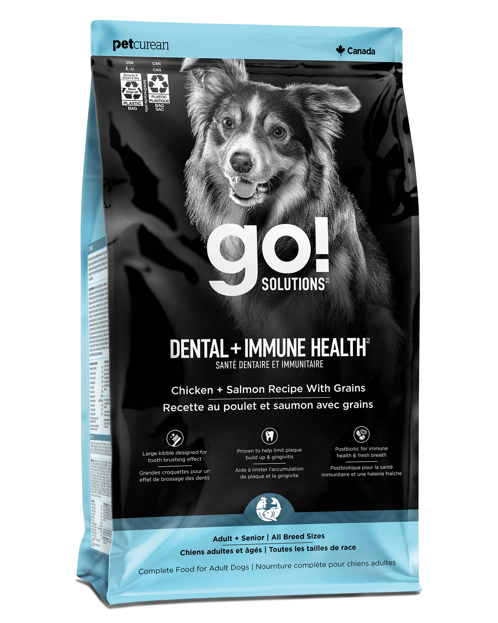 Go! Dental + Immune Health Chicken + Salmon Dog Food With Grains