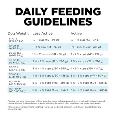 Go! Dental + Immune Health Chicken + Salmon Dog Food With Grains