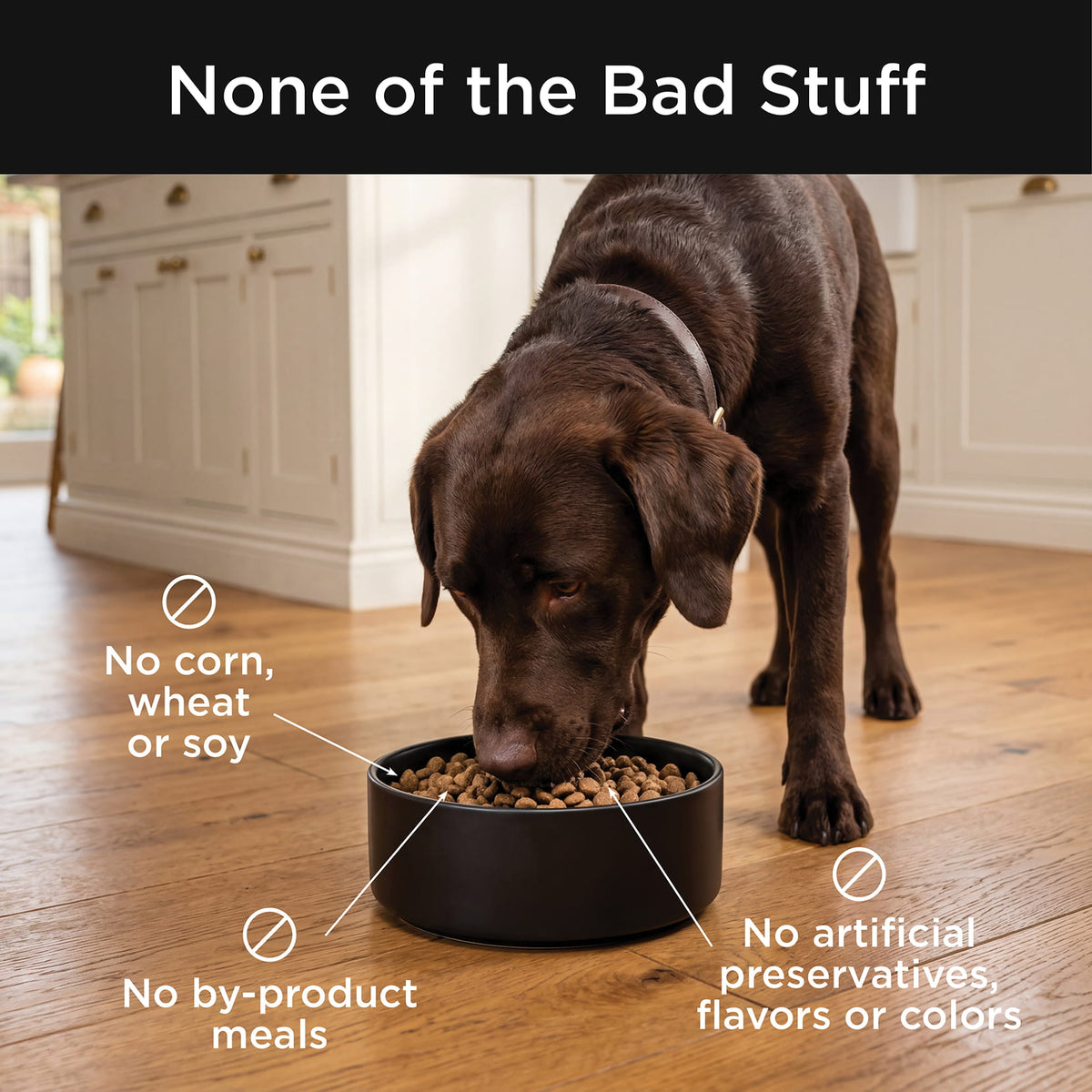 Go! Solutions Skin + Coat Care Beef Recipe With Grains Dry Dog Food - No corn, wheat, soy, by-product meals or artificial preservatives - PetMax Canada