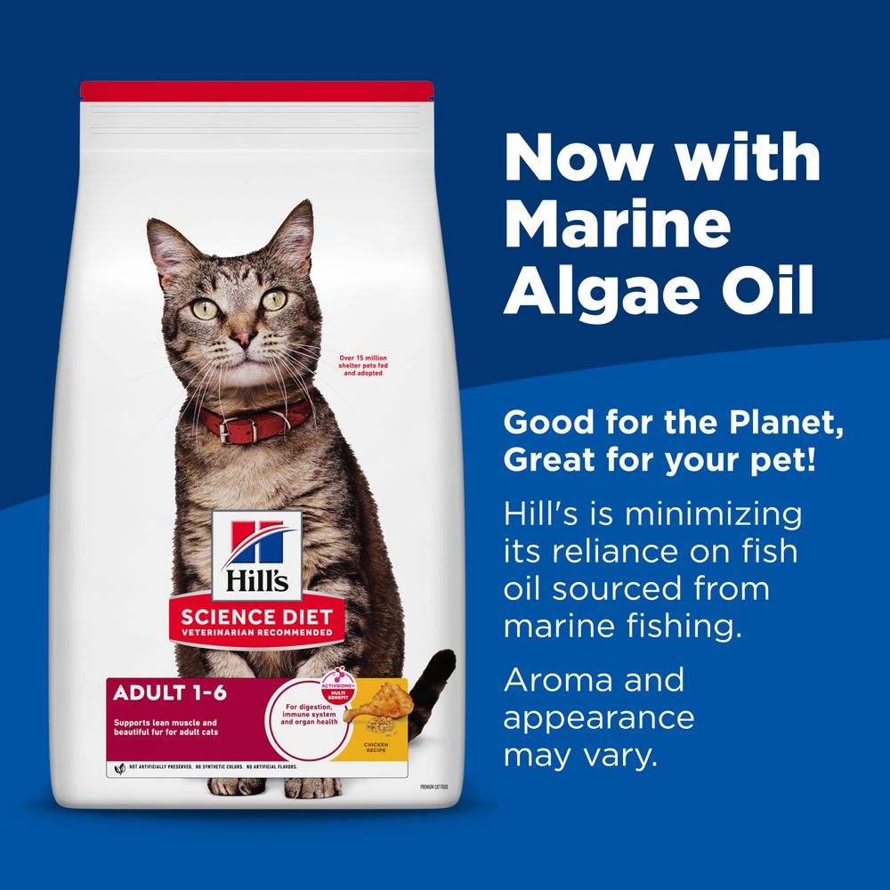 Hill's Science Diet Adult Chicken Recipe Dry Cat Food