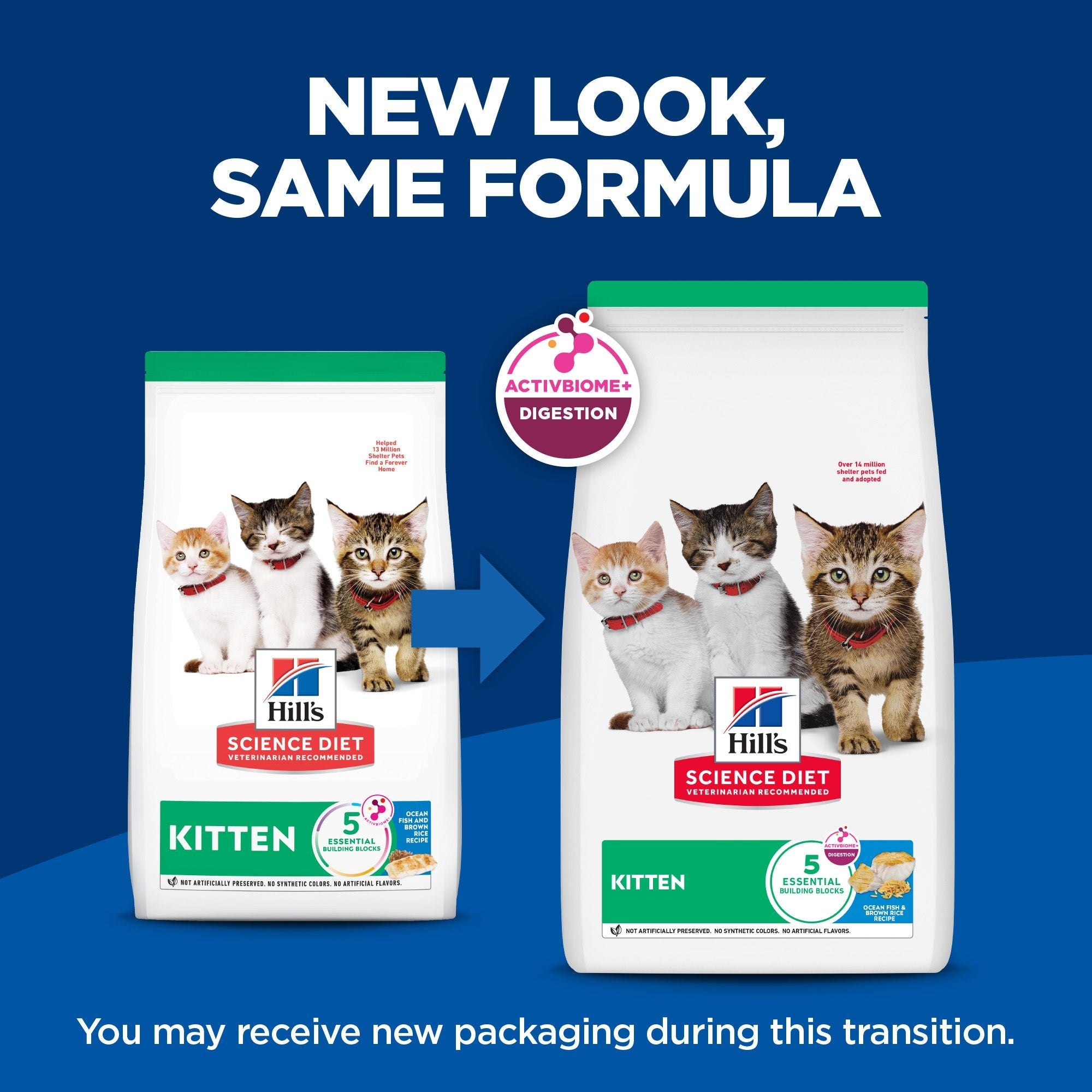 Hill's Science Diet Kitten Ocean Fish & Brown Rice Recipe Dry Cat Food