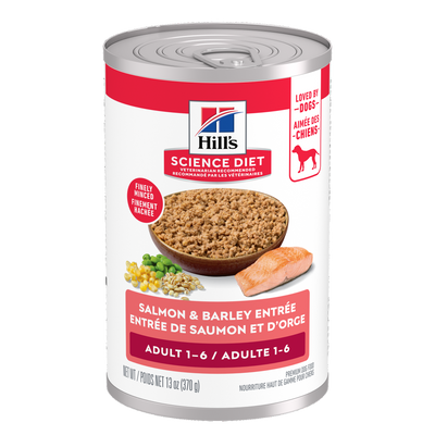 Hill's Science Diet Adult Salmon & Barley Entree Dog Food 370g