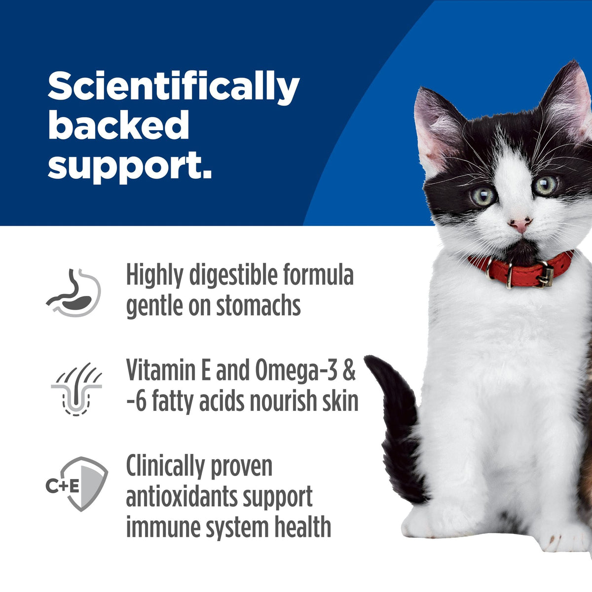 Hill's Science Diet Kitten Canned Sensitive Stomach & Skin Salmon & Vegetable Stew