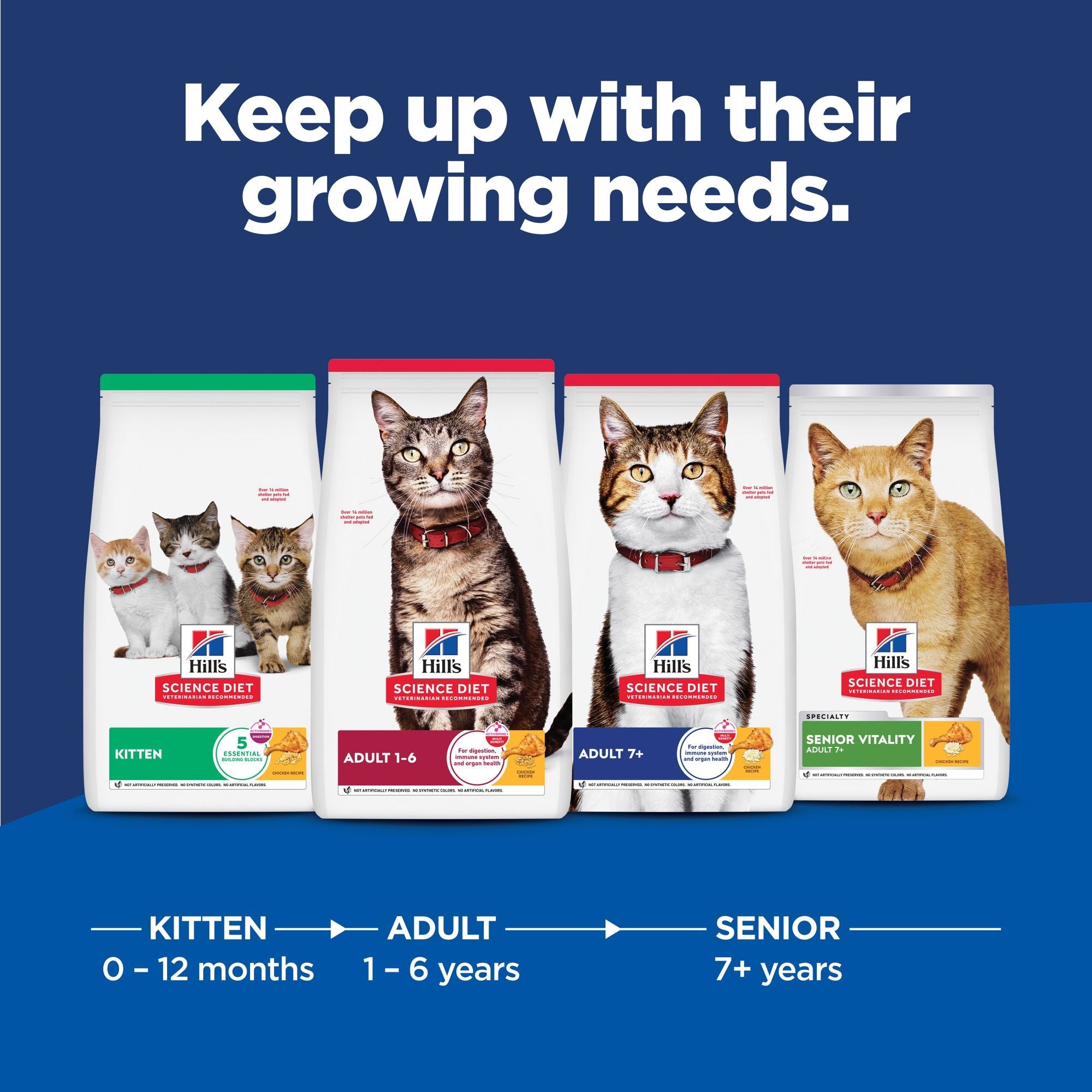Hill's Science Diet Adult Indoor Chicken Recipe Dry Cat Food