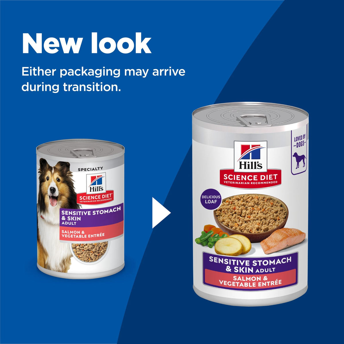 Hill's Science Diet Adult Sensitive Stomach & Skin Canned Dog Food, Salmon & Vegetable Entrée