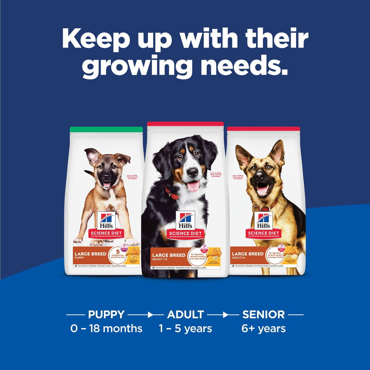Hill's Science Diet Senior 6+ Large Breed Chicken Meal, Barley & Rice Recipe Dry Dog Food