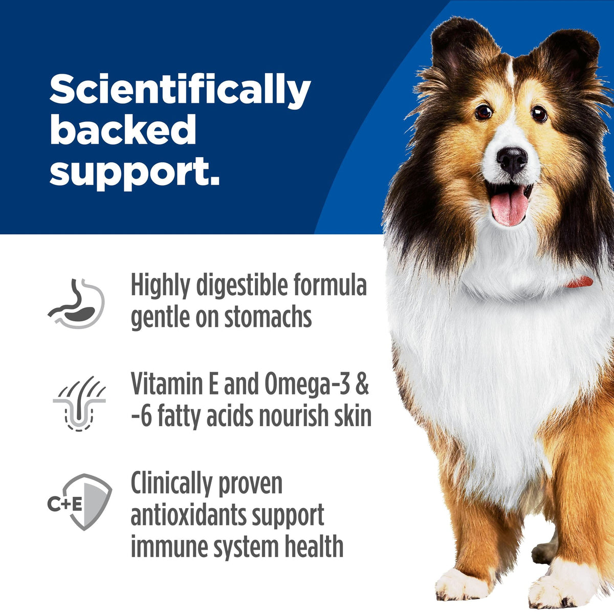 Hill's Science Diet Adult Sensitive Stomach & Skin Canned Dog Food, Salmon & Vegetable Entrée