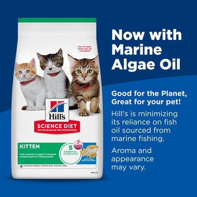Hill's Science Diet Kitten Ocean Fish & Brown Rice Recipe Dry Cat Food