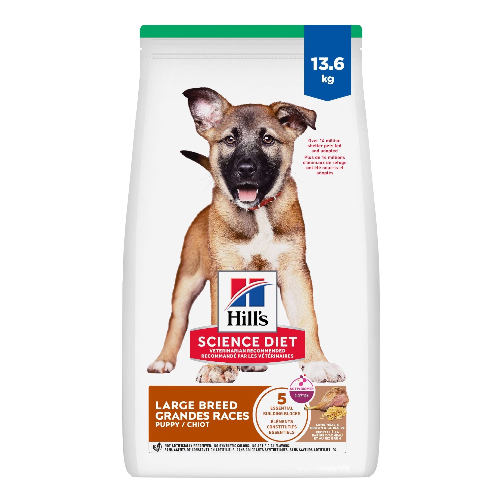 Hill's Science Diet Puppy Large Breed Lamb Meal & Brown Rice Recipe Dry Dog Food 13.6 Kg