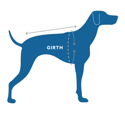 Manteau pour chien Rc Cascade Bleu Arctique