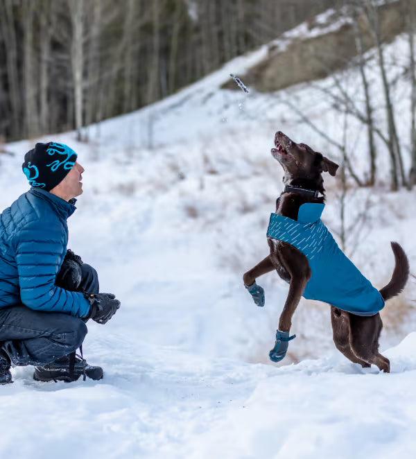 Manteau pour chien Rc Cascade Bleu Arctique