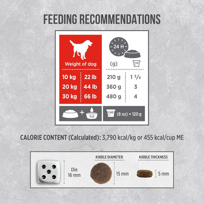 Nutrience Infusion Healthy Adult Beef Dry Dog Food