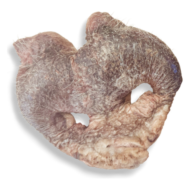 Momentum Freeze Dried Pig Snout Chew