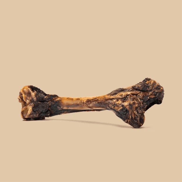 Roam Roo Chopper Kangaroo Dog Bone Treat - Small/Medium - Natural Chews - Roam - PetMax Canada