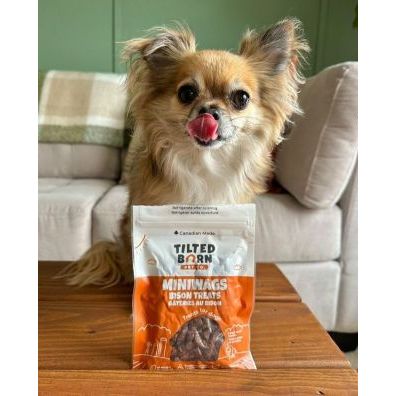 Tilted Barn Canadian Bison Mini Wags