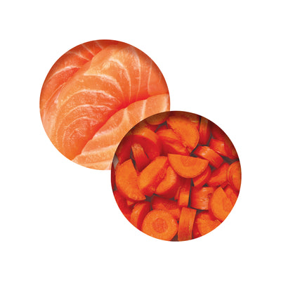 CatIt Wet Cat Food Chicken Dinner With Salmon & Carrot