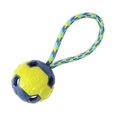 Zeus Dog Fitness Fetch Tug