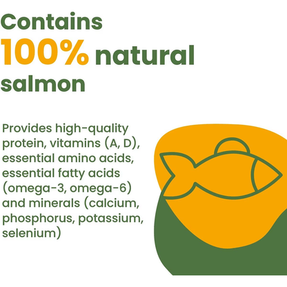 Almo Nature HQS Natural Salmon in Broth Grain-Free Canned Cat Food - 70g - Canned Cat Food - Almo Nature - PetMax Canada