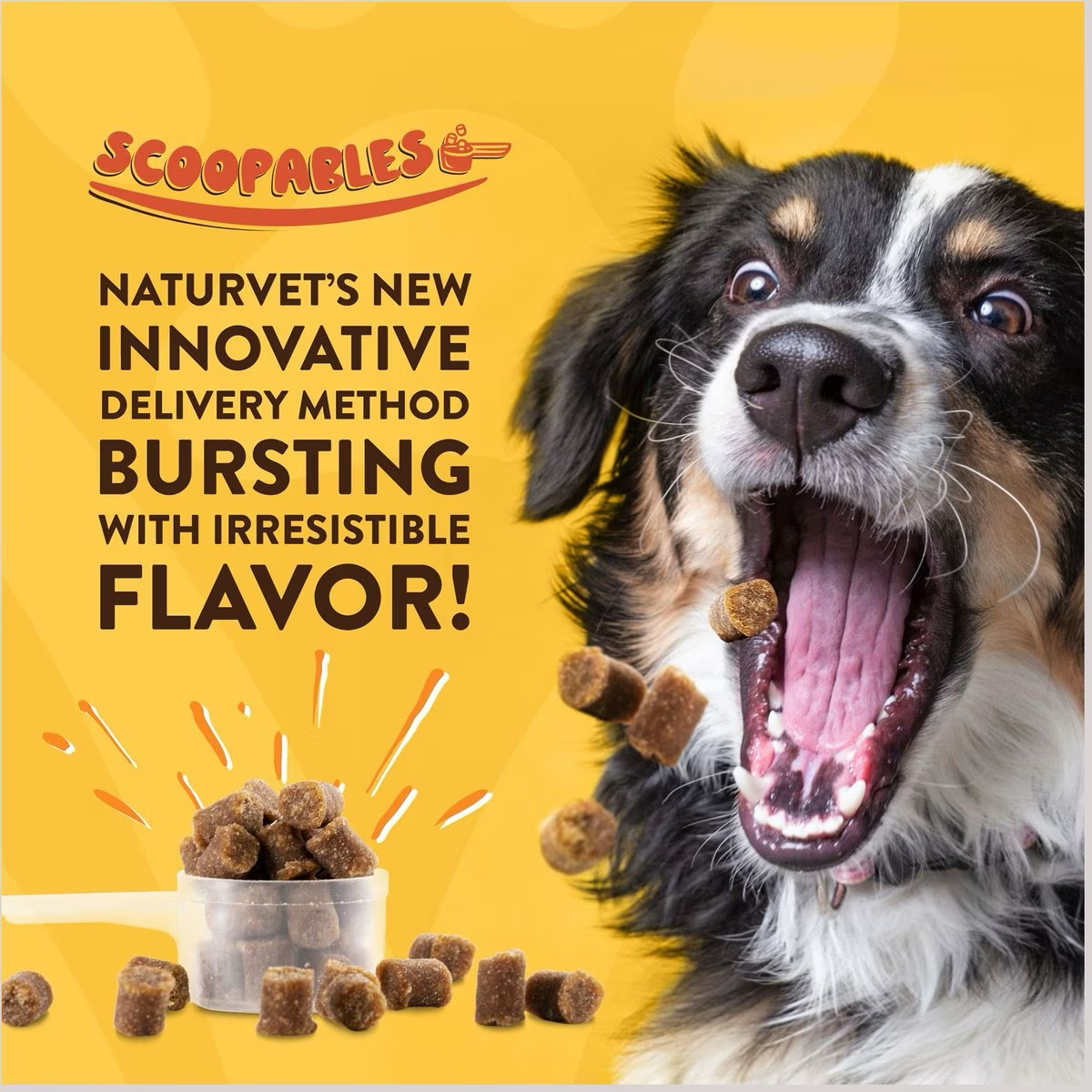 NaturVet Scoopables Quiet Moments Calming Aid Dog Supplement  Health Care  | PetMax Canada