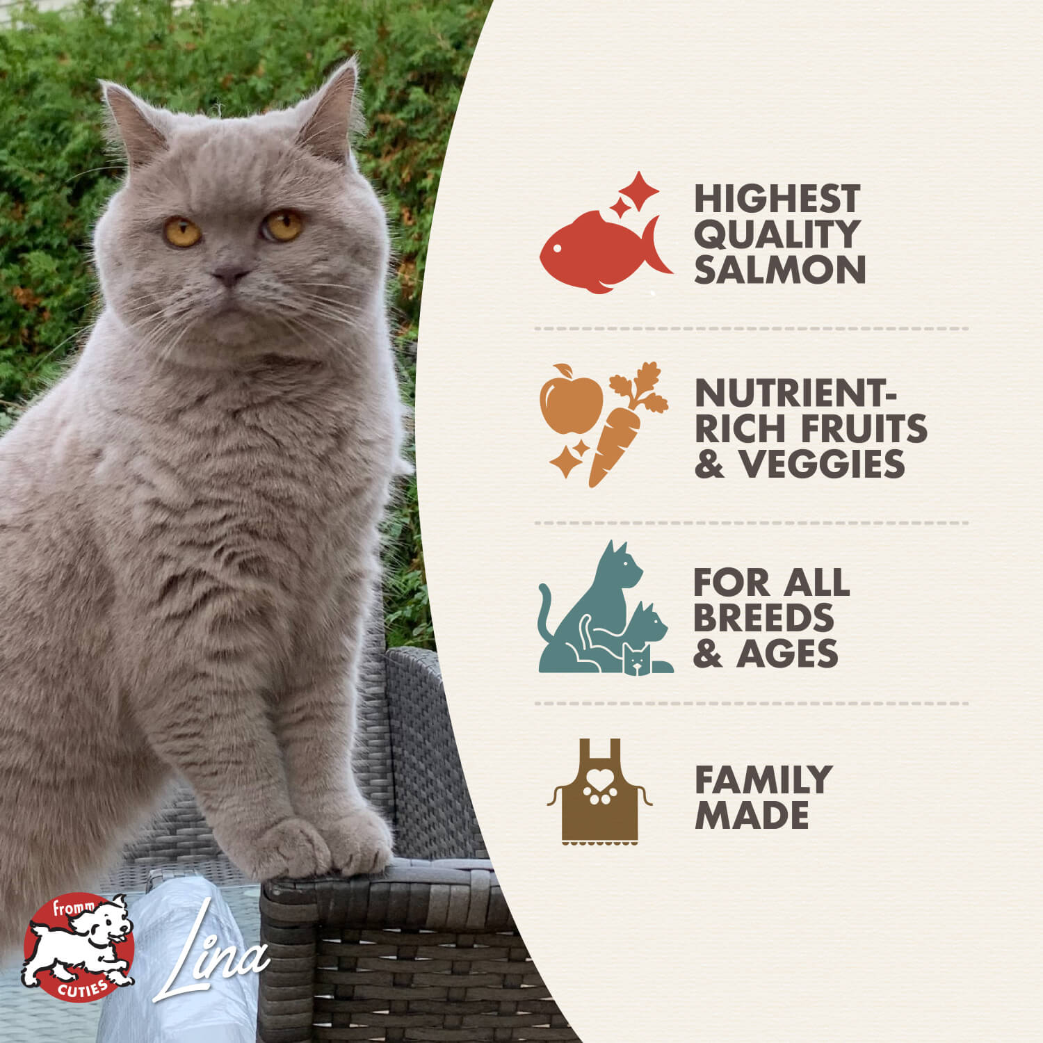 Fromm Four Star Cat Adult SAUMON À LA VEG RECETTE