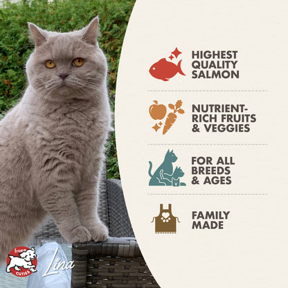 Fromm Four Star Cat Adult SAUMON À LA VEG RECETTE