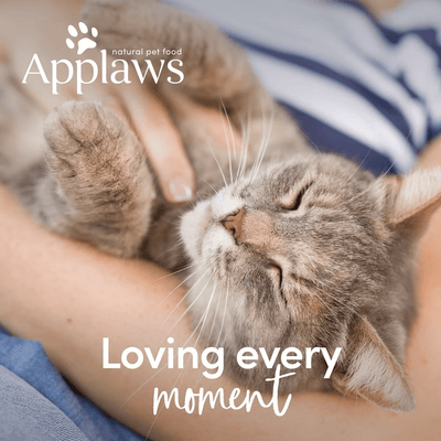 Applaws Chicken Breast with Cheese Canned Cat Food - 70g - Canned Cat Food - Applaws - PetMax Canada