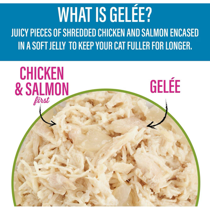 Tiki Cat Pouch Luau Lean Gelee Chicken & Salmon