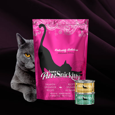 Fromm Purr-Snickitty Salmon Splendour Recipe For Cats
