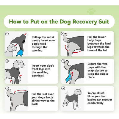 Suitical Dog Recovery Suit Black - Small - Dog Miscellaneous - Suitical - PetMax Canada