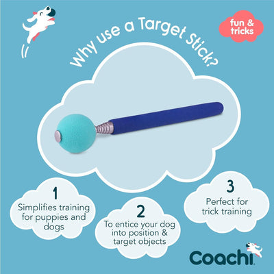 Coachi Target Stick - Default Title - Training Products - COACHI - PetMax Canada