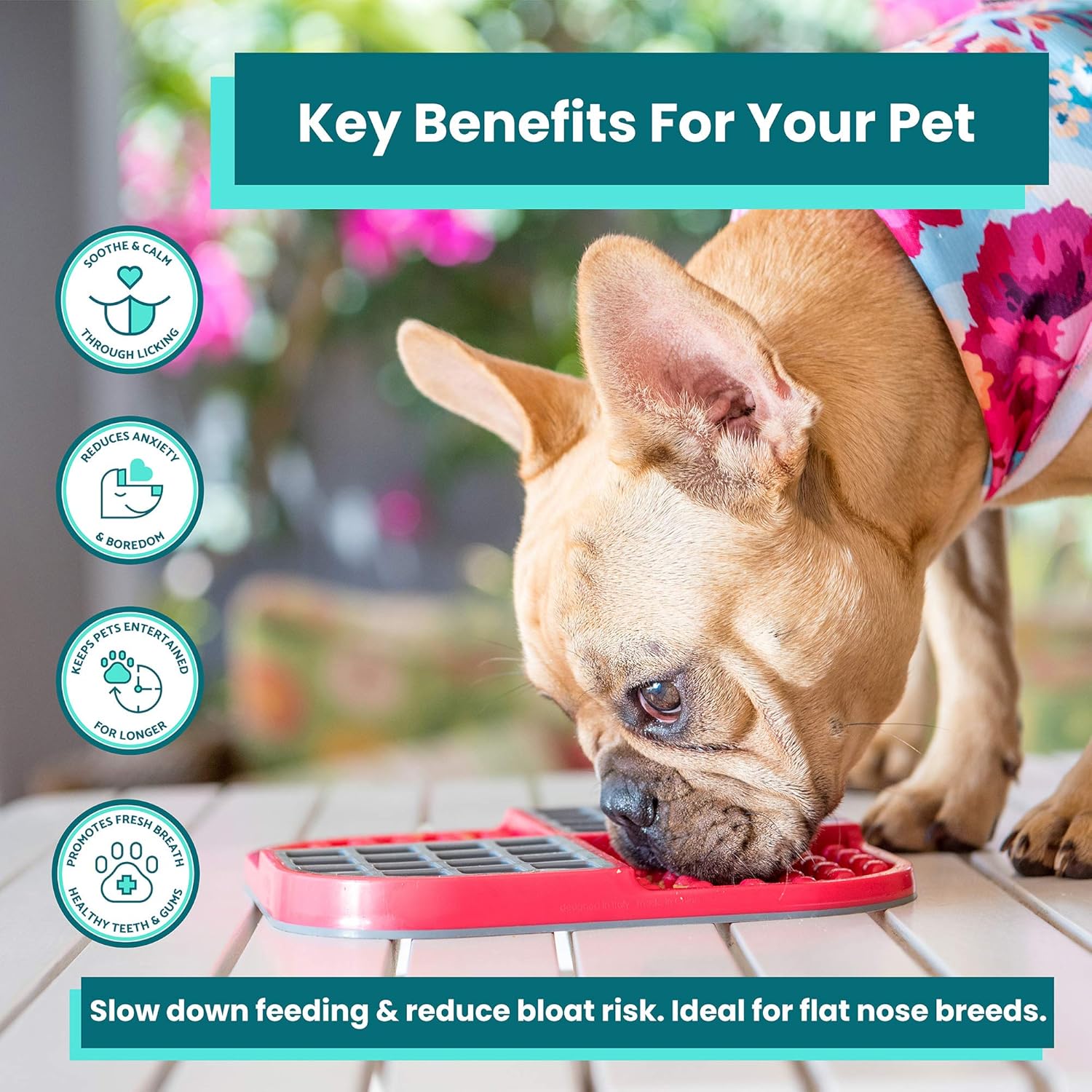 Lickimat Slomo Dog Slow Feeding Lick Mat