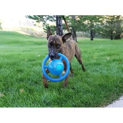 Disque Kong Dog Jumbler