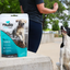 Nulo Freestyle Salmon Recipe Grain-Free Dog Training Treats  Dog Treats  | PetMax Canada
