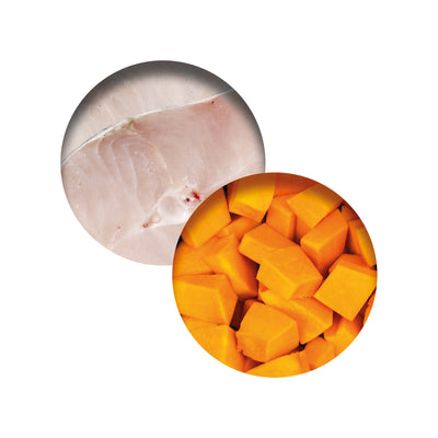 CatIt Wet Cat Food Fish Dinner With Whitefish & Pumpkin