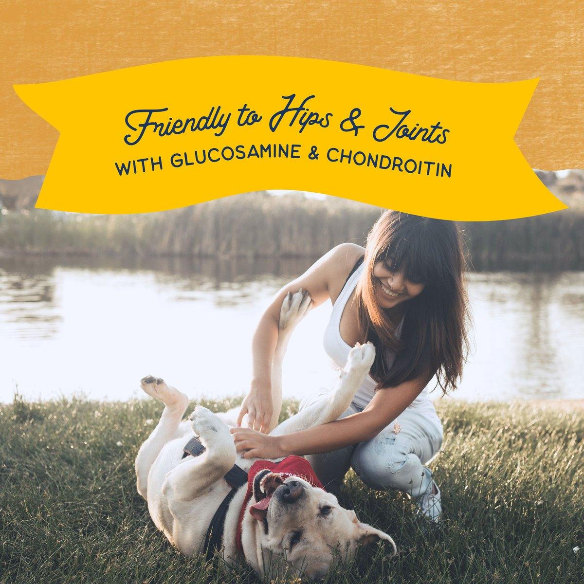 Natural Balance Rewards Jumpin' Stix With Real Duck Dog Treats - 113g - Dog Treats - Natural Balance - PetMax Canada