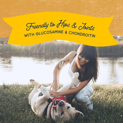 Natural Balance Rewards Jumpin' Stix With Real Duck Dog Treats - 113g - Dog Treats - Natural Balance - PetMax Canada