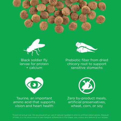 Go! Sensitivities Limited Ingredient Grain Free Insect recipe for dogs