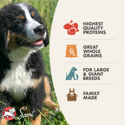 Fromm Gold Large Breed Puppy Food