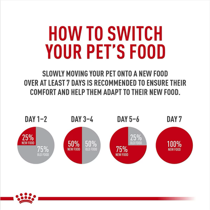 Royal Canin Breed Health Nutrition Labrador Retriever Adult Loaf in Sauce Canned Dog Food