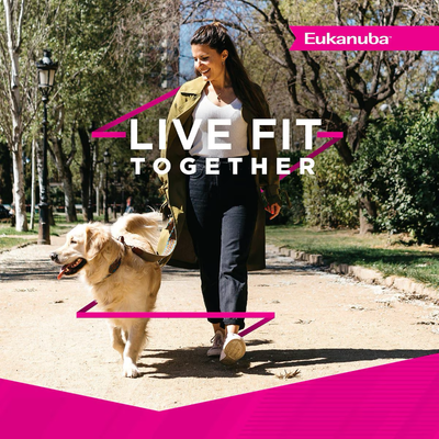 Eukanuba Medium Breed Weight Control Fit Body Dog Food