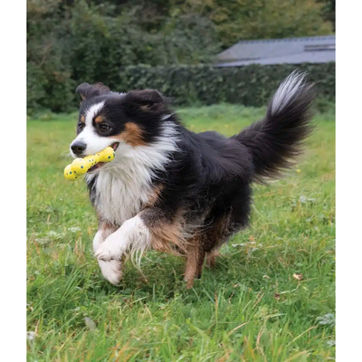 Zeus Nitro Bendy Bone Dog Toy