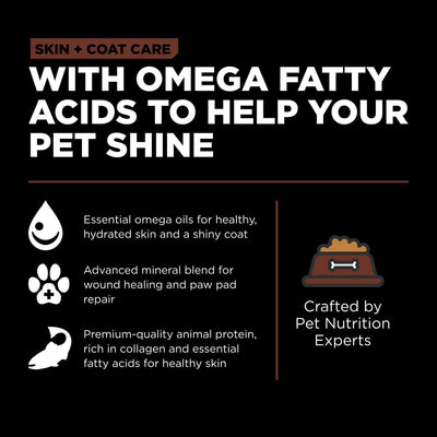 Go! Skin + Coat Care Large Breed Puppy Salmon Recipe With Grains for dogs