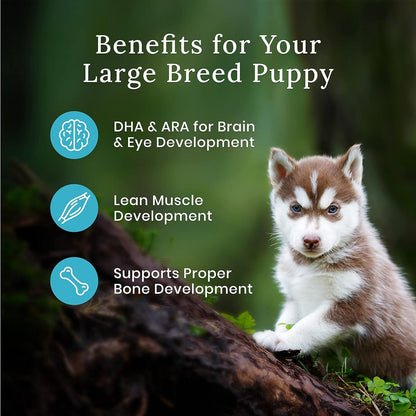 Blue Buffalo Wilderness More Meat & Wholesome Grains Natural Dry Dog Food Large Breed Puppy Chicken - 10.9 Kg - Dog Food - Blue Buffalo - PetMax Canada