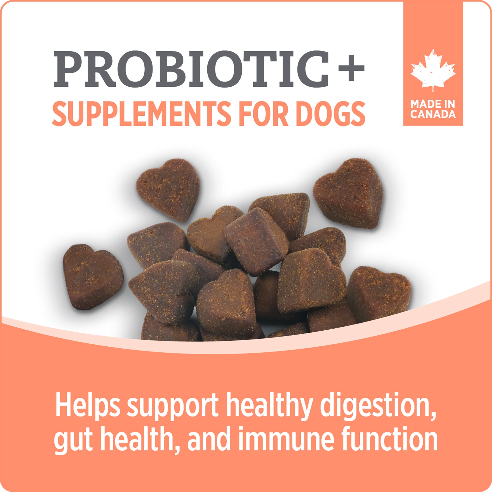 Nutrience Care Probiotic+ Supplement for Dogs