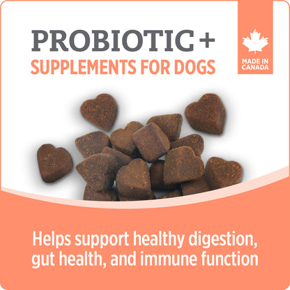 Nutrience Care Probiotic+ Supplement for Dogs
