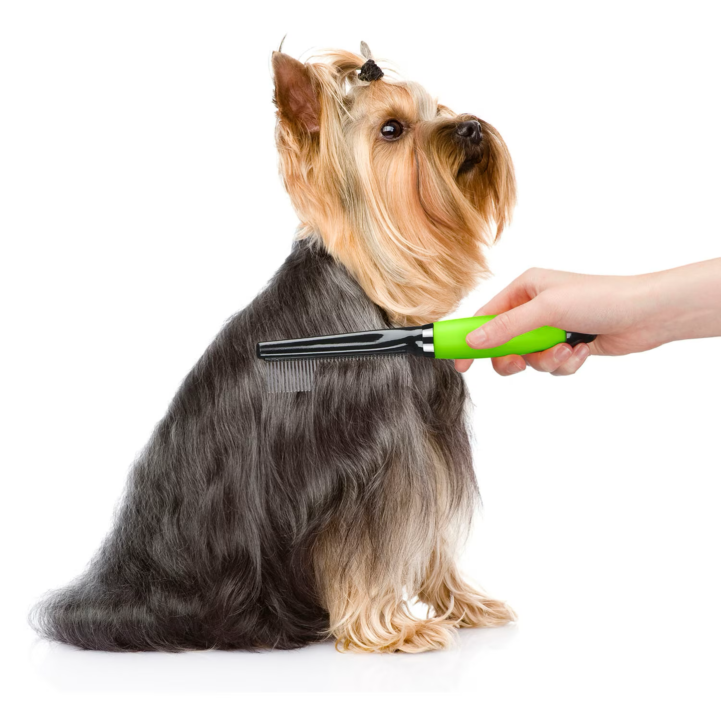 Conair Pro Pet Medium Dog Comb  Grooming  | PetMax Canada