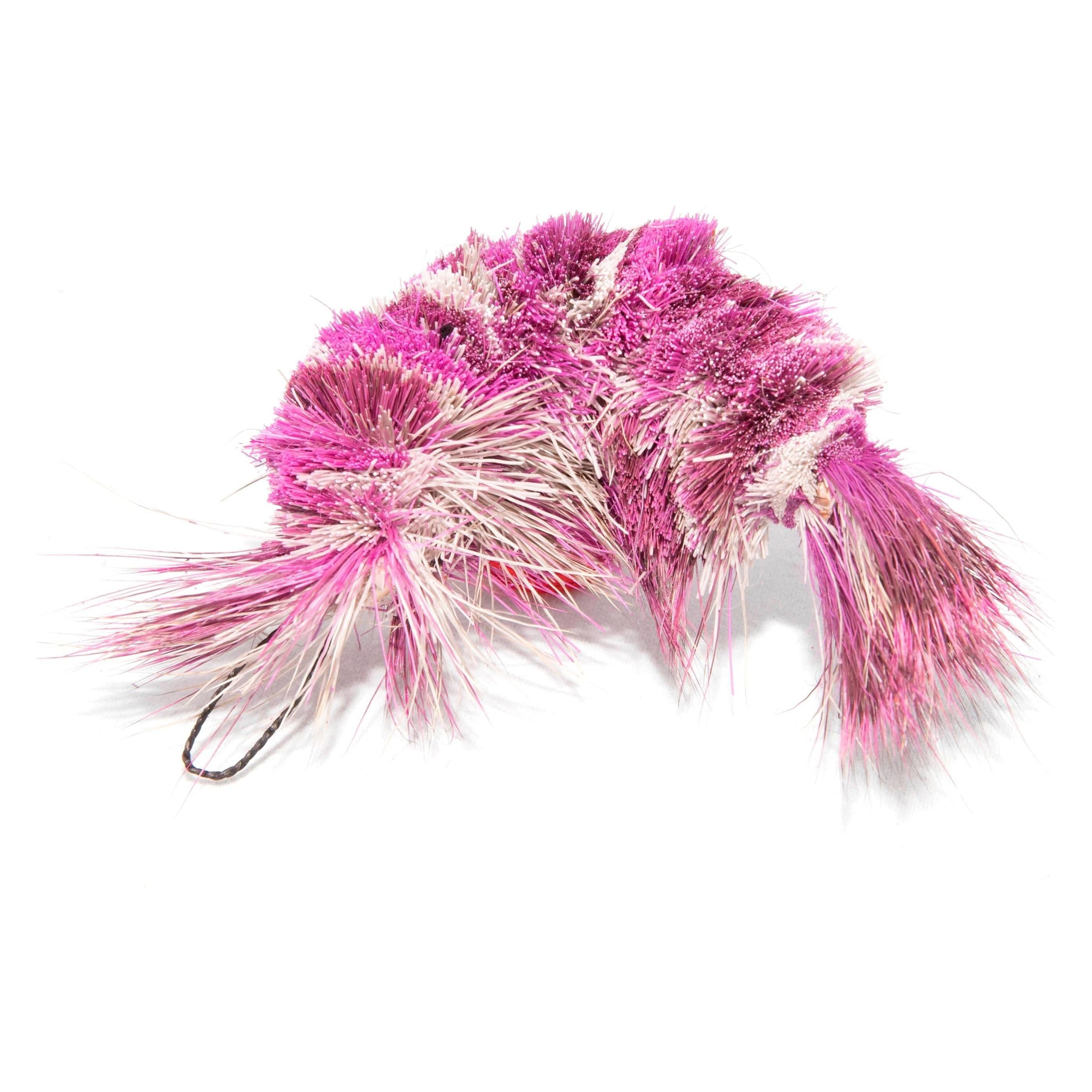 Cat Lures Shrimp Fly Magenta
